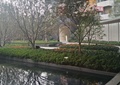 中庭景观,种植池,水池,长廊