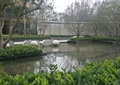 小区中庭景观,水池,树池