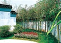 庭院绿化,围墙