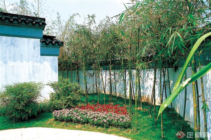庭院绿化,围墙