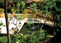 中庭景观,喷泉水池,盆栽,花钵