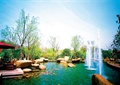 小区喷泉水池,景石