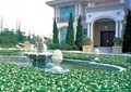 喷泉水池,雕塑喷泉,花圃,别墅