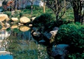 水池景观,自然景石,灌木丛