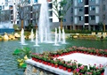 喷泉,喷泉水池,多层住宅,盆栽
