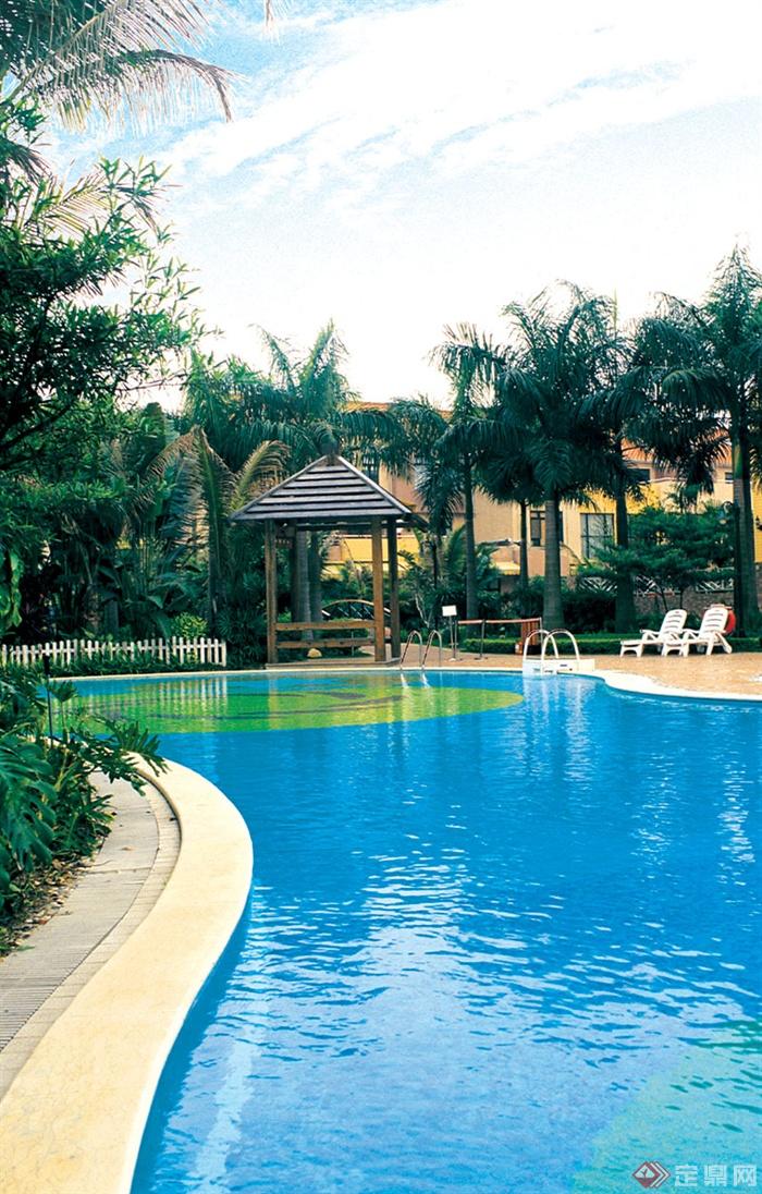 户外泳池,露天泳池,凉亭椰子树