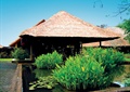 茅草屋,水池景观