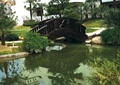 小区水池,木质拱桥