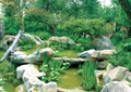 自然水池,景石