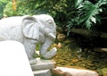 大象雕塑,卵石水池