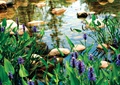 小区自然水池,景石,花卉植物
