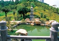 公园景观,石栏杆,水池,景石,石塔