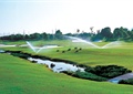 高尔夫球场,草坪,喷灌水,河流
