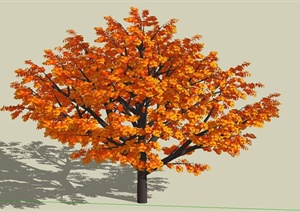 橘黄色乔木设计SU(草图大师)模型