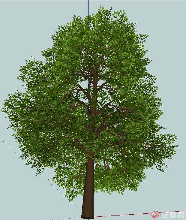 园林景观常用3D乔木设计SU模型(2)
