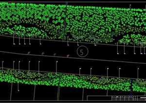 道路绿化带植物种植设计CAD平面图
