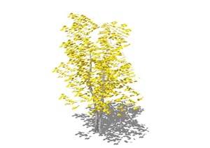 黄叶银杏树设计SU(草图大师)模型