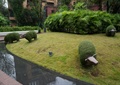 植物雕塑,草坪,草坪灯,水池