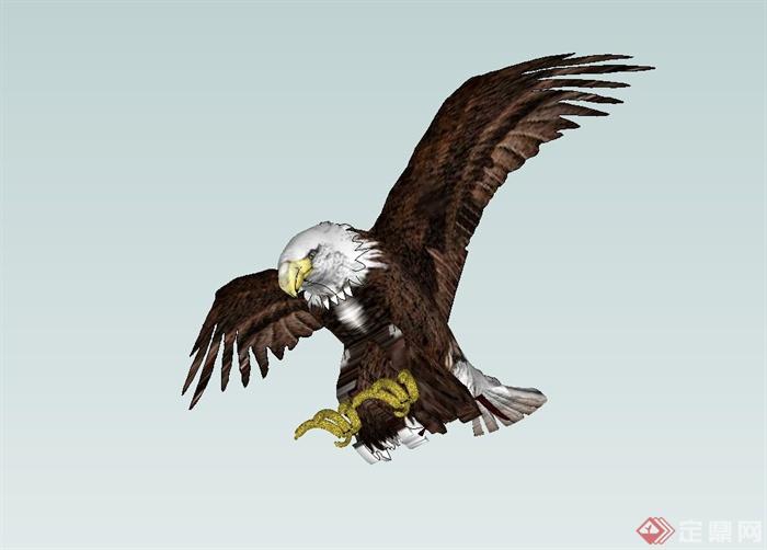 美国秃鹰动物设计su模型(1)