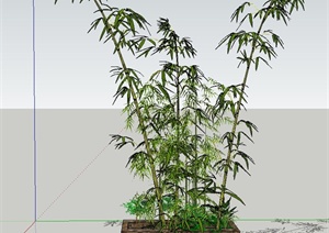木质方形种植池与竹子设计SU(草图大师)模型