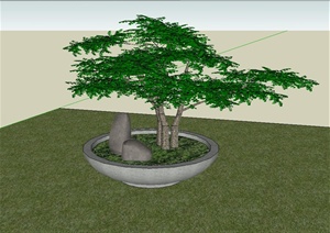 松树盆景设计SU(草图大师)模型