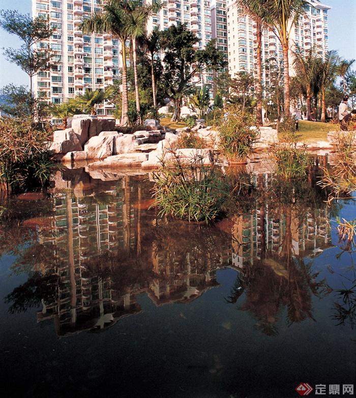 中庭水池景观,景石,景石石头槟榔