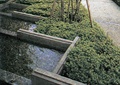 水池景观,水池壁,绿化带
