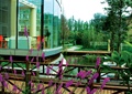 阳台景观,木栏杆,水池