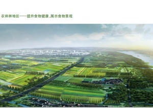 某滨江郊野公园项目总体规划设计方案高清pdf文本