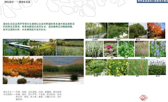 某湿地公园景观方案设计高清PDF文本(10)