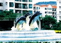 海豚雕塑,喷泉水景,台阶式跌水景观