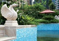 天鹅雕塑,遮阳伞,泳池池壁