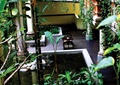 藤蔓植物,桌椅组合,木板铺装,庭院
