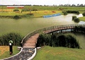 湖水景观,木栈道桥,绿化带