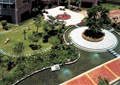 小区喷泉水池,圆形树池,亲水平台