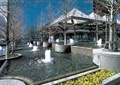 圆形树池,喷泉水池