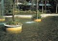 圆形树池,卵石水池