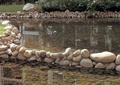 水池景观,石子铺装
