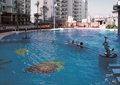 露天泳池,户外泳池,海豚雕塑