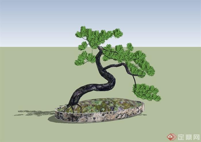 某松树盆景设计su模型(1)