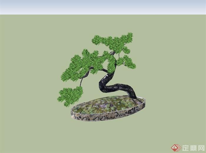 某松树盆景设计su模型(3)