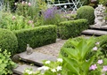 花园绿化,庭院,绿篱,灌木球