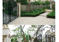 庭院,庭院景观,铁艺大门,大门,绿篱