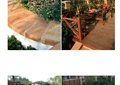 庭院景观,树池坐凳,木平台,桌椅组合