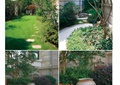 别墅庭院,庭院景,石板汀步,花钵,绿化带