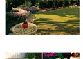 别墅庭院,庭院景观,草坪景观,花钵