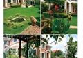 别墅庭院,庭院景观,庭院花园,草坪