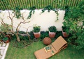 私家庭院,庭院,庭院花园,躺椅,陶罐花钵,围墙