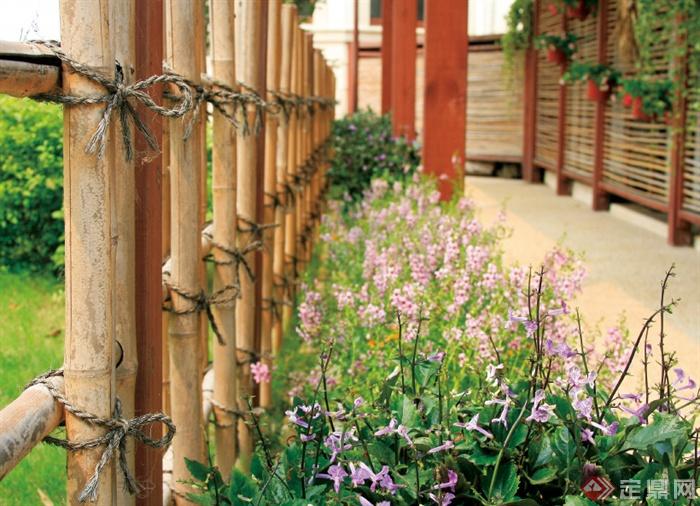 木栅栏,花卉,花卉植物