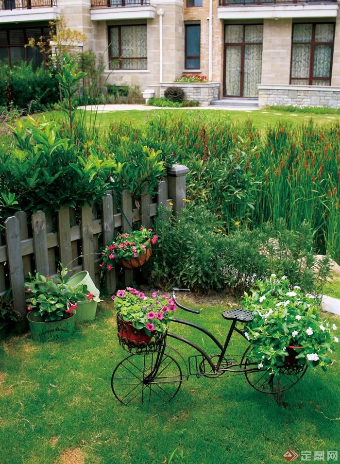 庭院景观,阳光草坪,入口景观,篱笆